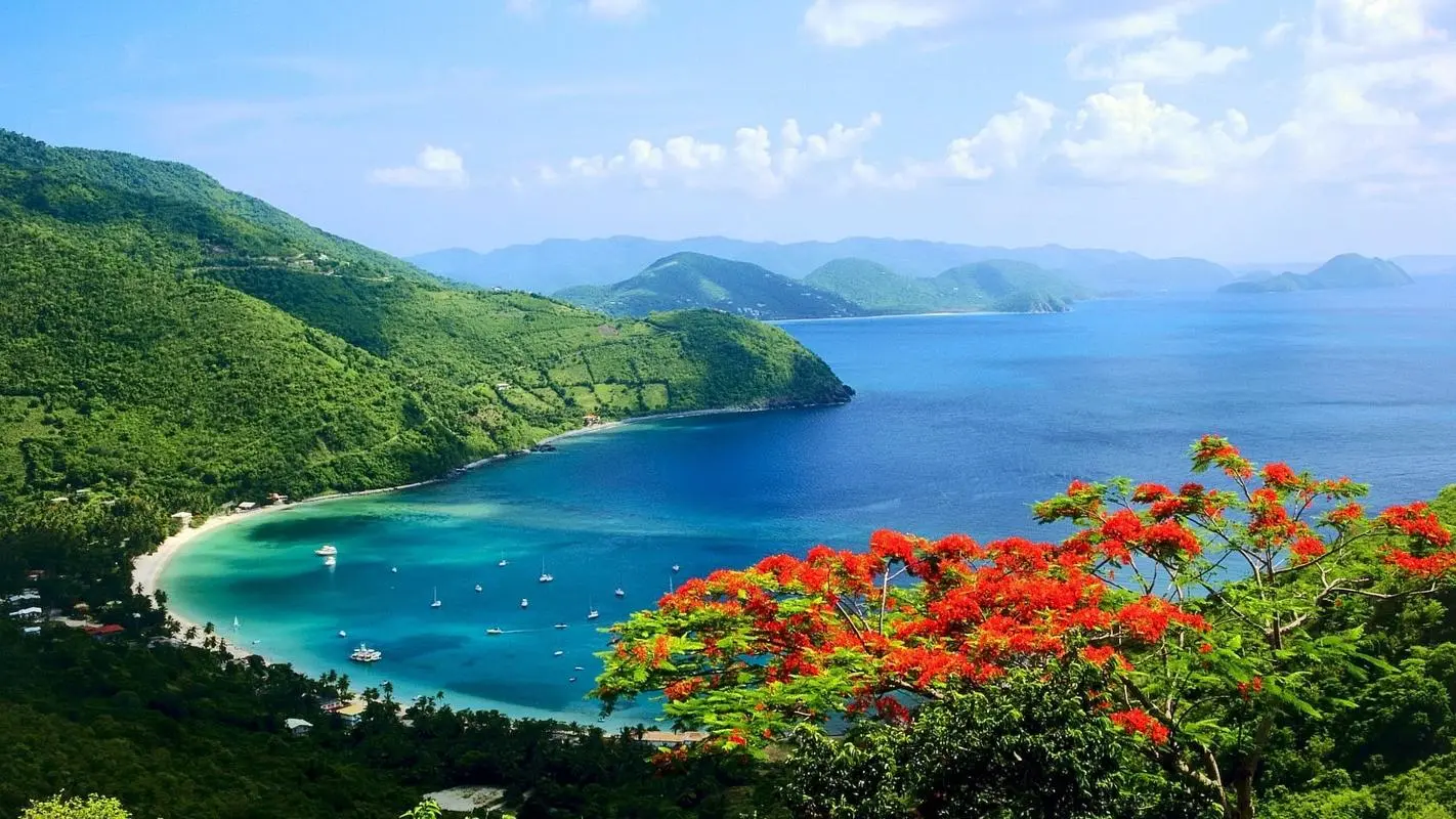 高效高标准可靠性